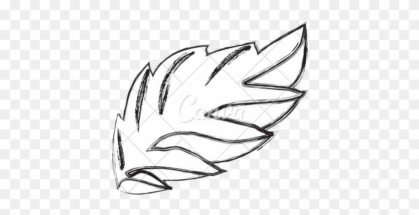 840x432 plant mint leaf transprent - Mint Leaf Drawing