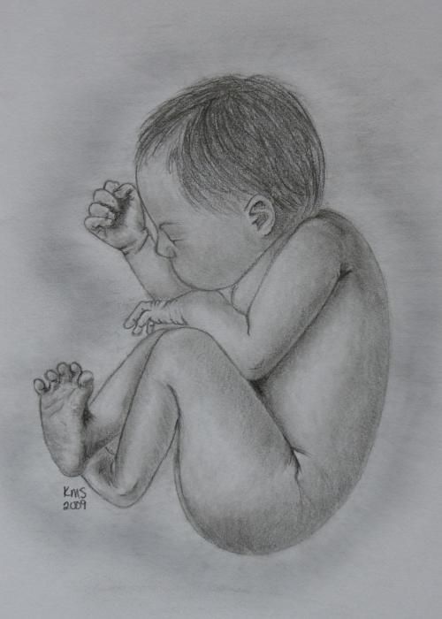 500x700 Miracle Drawings Drawings, Pencil - Miracle Drawing