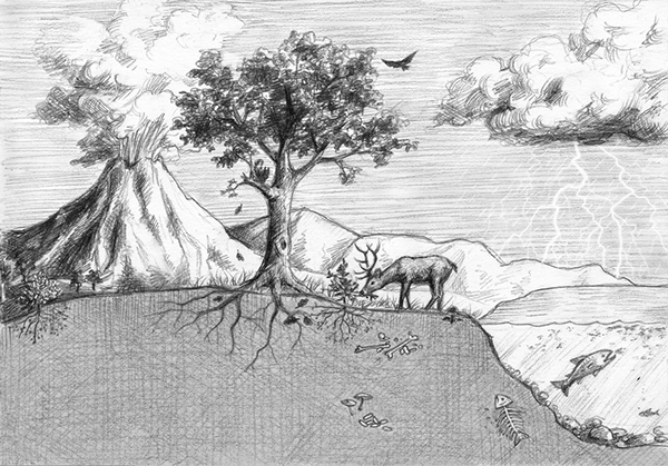 600x419 The Miracle Of Trees On Behance - Miracle Drawing