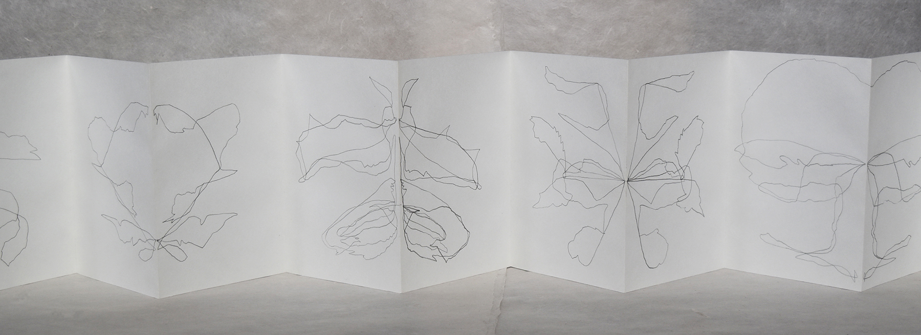 1800x656 mirror drawing anthea black - Mirror Drawing