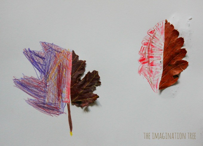 680x490 Mirror Leaf Drawings Nature Art - Mirror Image Drawing