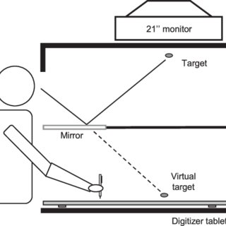320x320 Line Drawing Of The Experimental Apparatus The Monitor's Image - Mirror Line Drawing