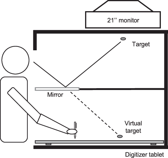 541x509 Line Drawing Of The Experimental Apparatus The Monitor's Image - Mirror Line Drawing