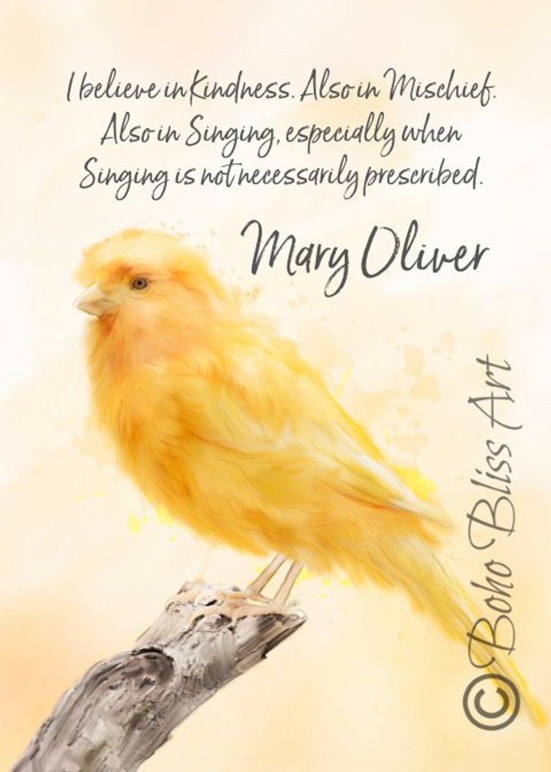 794x1112 Mary Oliver Quote I Believe In Kindness Also In Mischief Etsy - Mischief Drawing Download