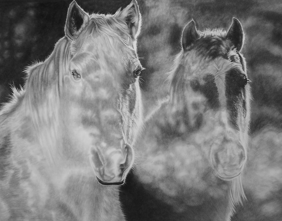 900x706 mist drawing - Mist Drawing