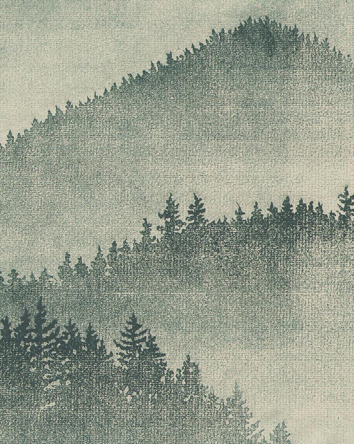 717x900 redwood mist drawing - Mist Drawing