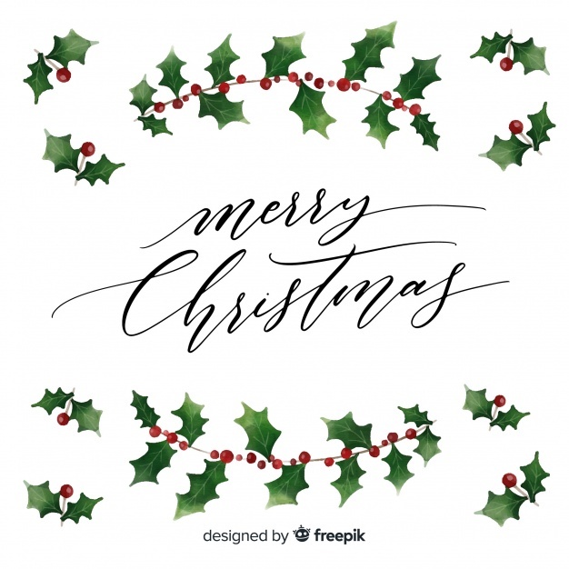 626x626 mistletoe drawing vectors, photos and free download - Mistletoe Drawing