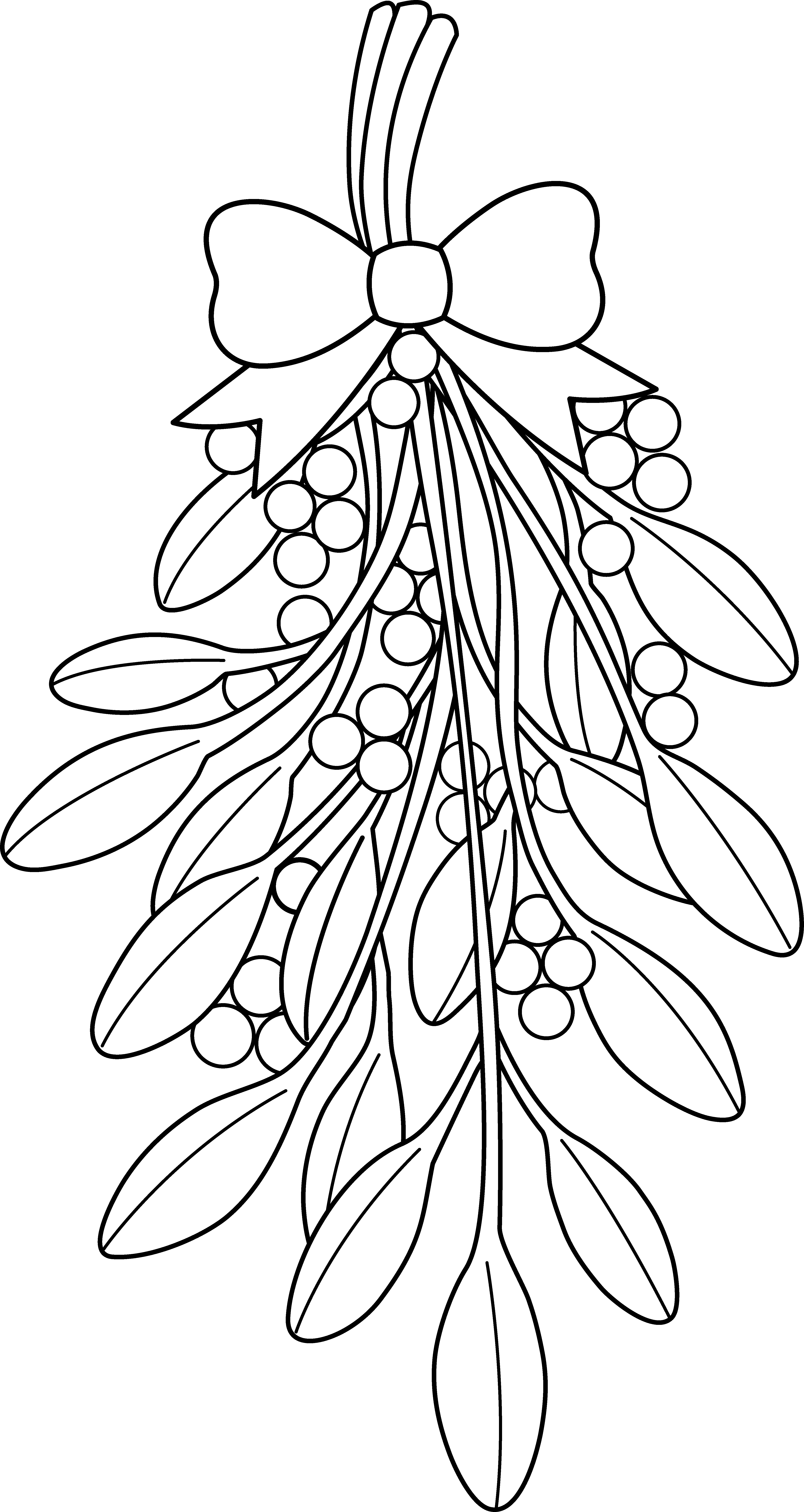 4415x8305 christmas coloring pages mistletoe clipart black and white - Mistletoe Drawing