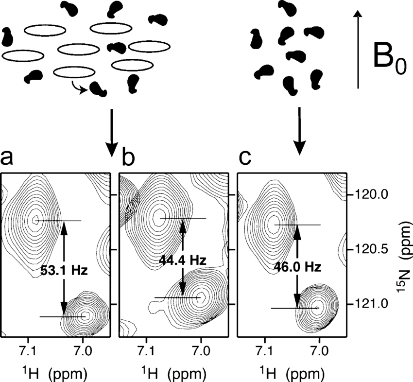 850x786 Top Schematic Drawing Of Proteins And Liquid Crystals Mixture - Mixture Drawing