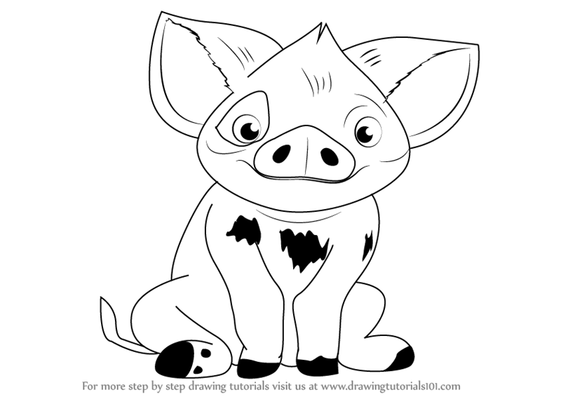 800x566 Learn How To Draw Pua From Moana - Moana Drawing