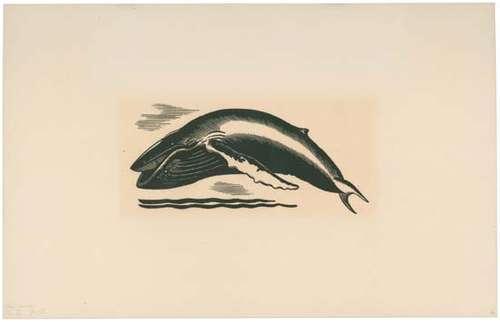 500x322 moby dick summary, interpretation, context - Moby Dick Drawing