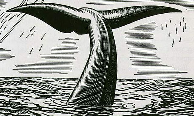 640x384 whale in the moon when it's clear gorse - Moby Dick Drawing