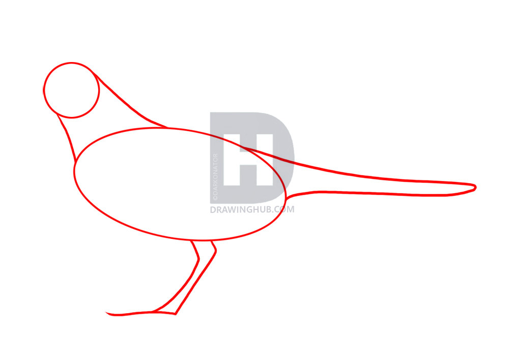 1000x663 How To Draw A Mockingbird, Step - Mockingbird Drawing