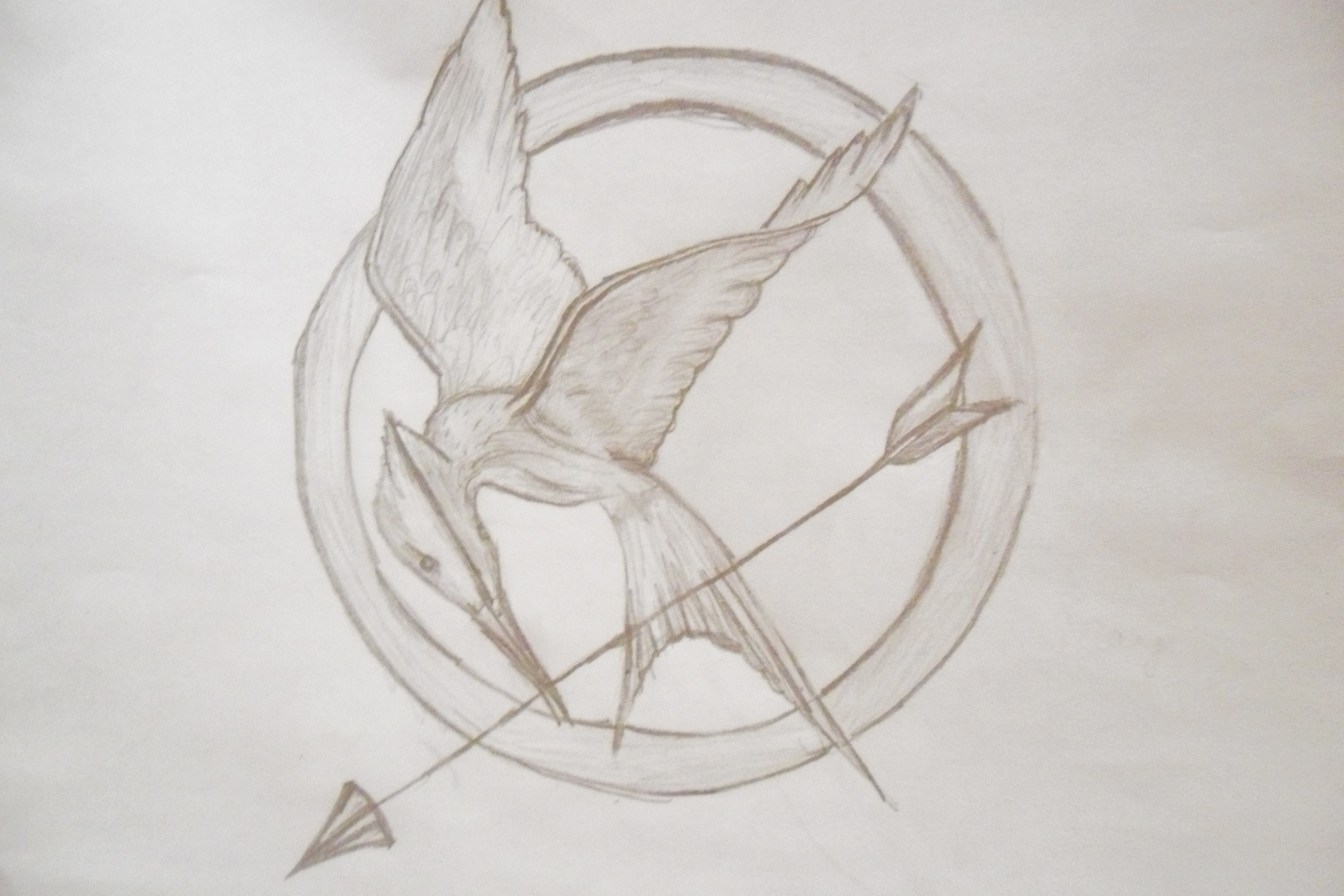 2560x1707 Mockingjay Images The Mockingjay Pin Hd Wallpaper And Background - Mockingjay Drawing