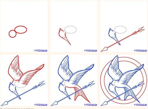505x370 Mockingjay Drawing Step - Mockingjay Drawing