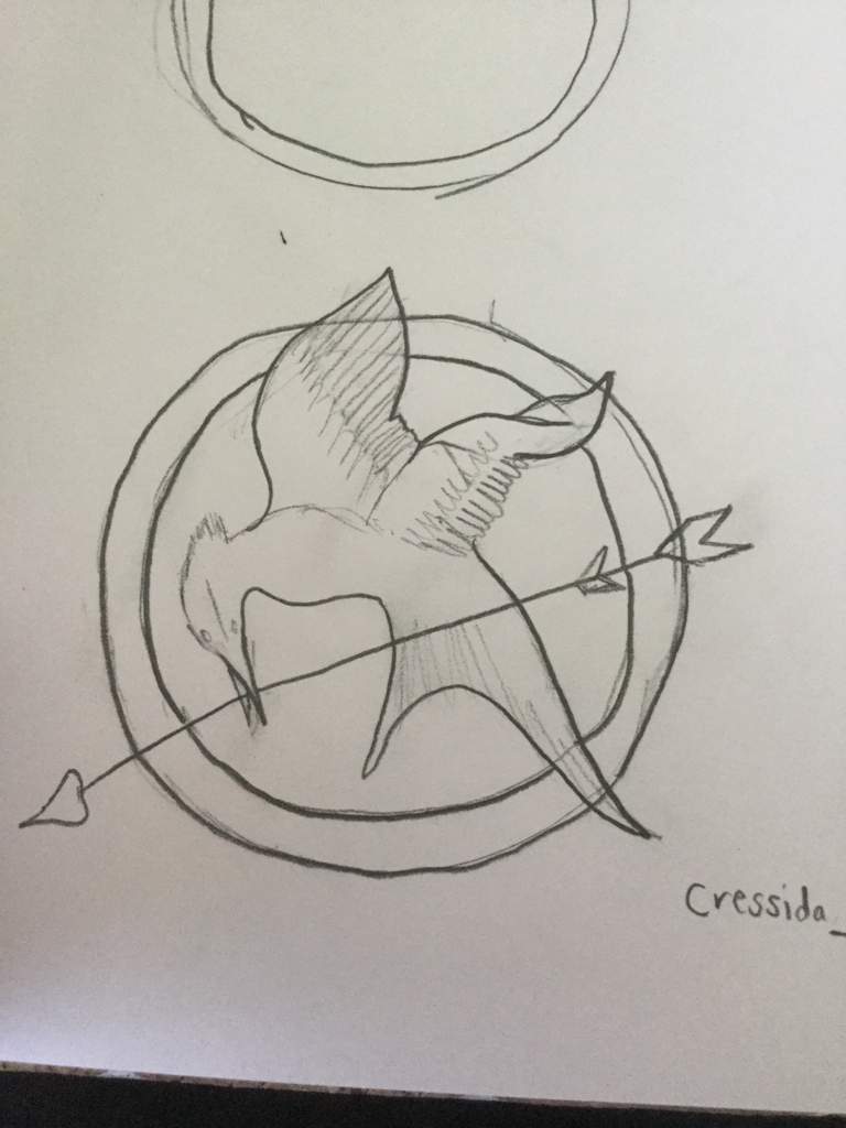 768x1024 The Mockingjay Pin The Hunger Games Amino - Mockingjay Pin Drawing