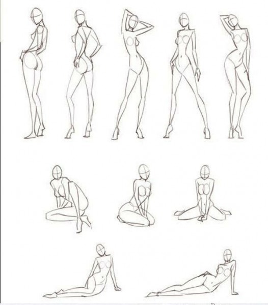 526x600 body model drawing - Model Drawing