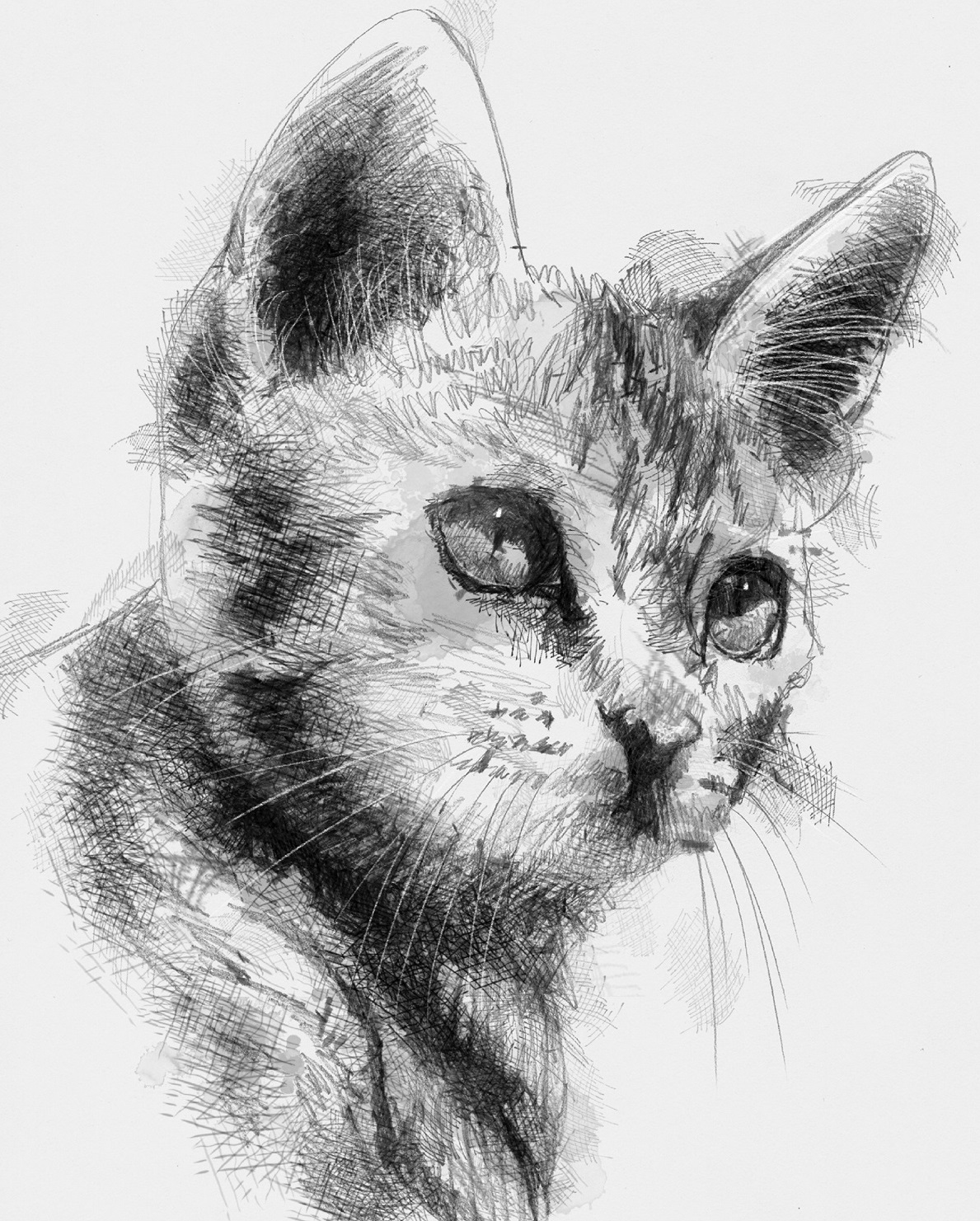 1189x1481 Large Modern Graphite Sketch - Modern Drawing