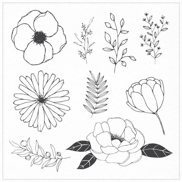 626x626 Flowers Images Drawing - Modern Flower Drawing