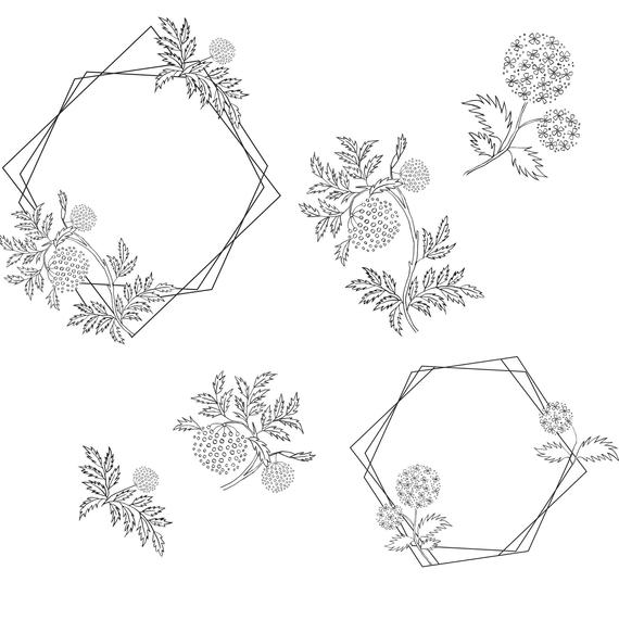 570x571 Hand Drawn Watercolor Fine Line Clipart Modern Flowers Etsy - Modern Flower Drawing