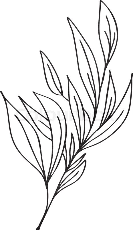 465x800 hand drawn modern flowers drawing and stock vector colourbox - Modern Flower Drawing