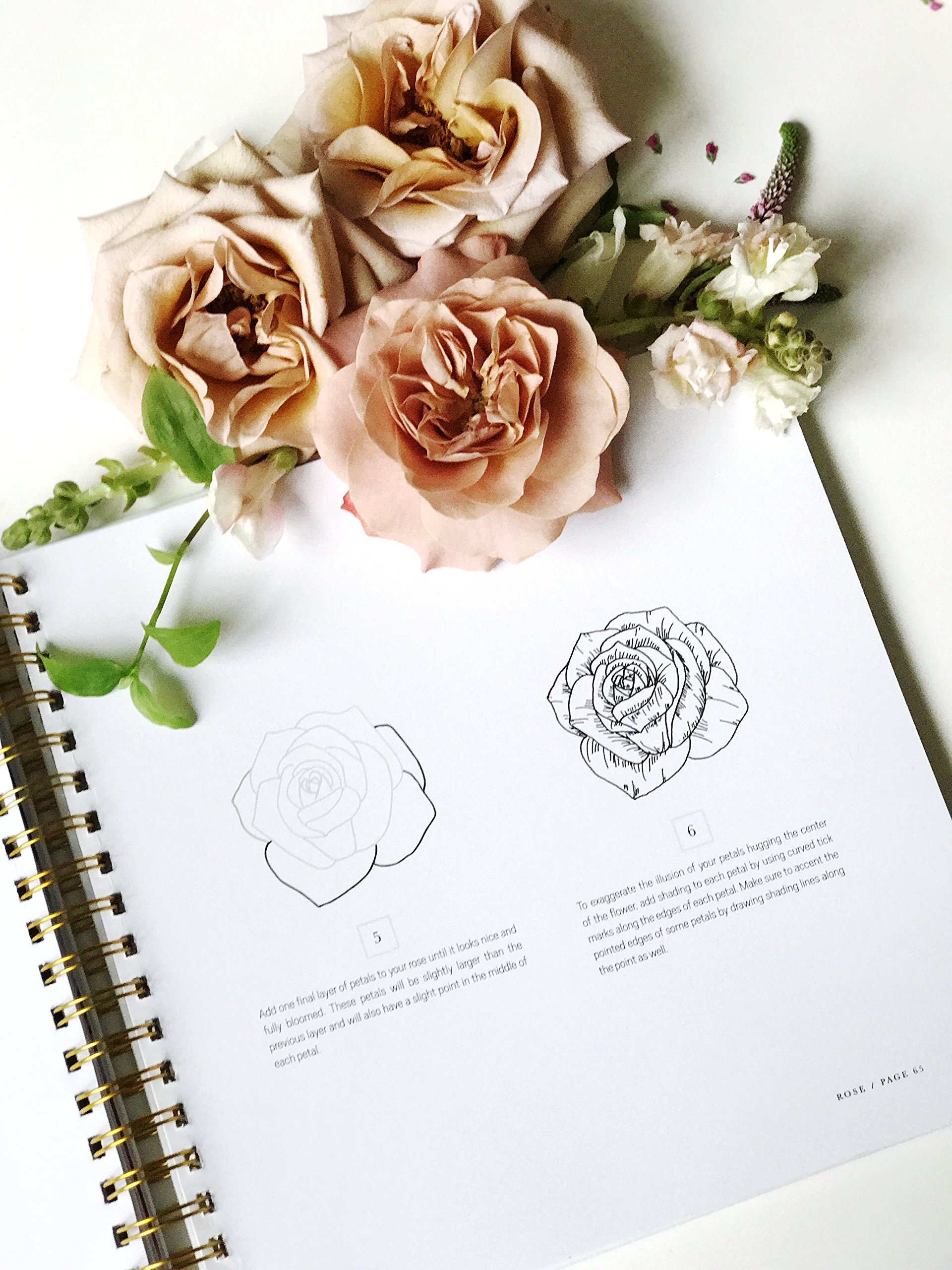 1920x2560 how to draw modern florals an introduction to the art of flowers - Modern Flower Drawing