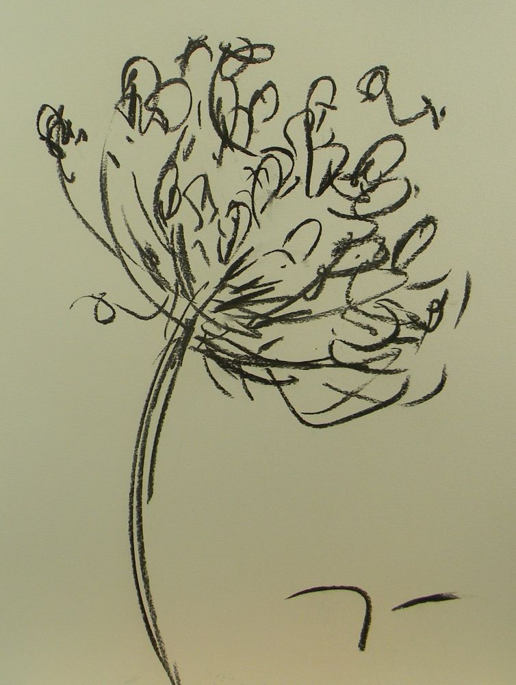 754x1000 Jose Trujillo Modern Minimalist Charcoal Drawing Original - Modern Flower Drawing