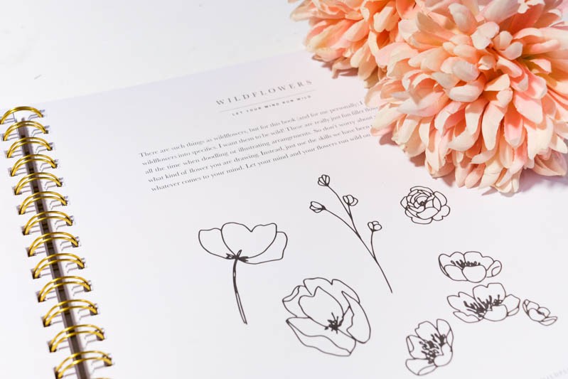 799x533 Review Botanical Line Drawing Modern Florals - Modern Flower Drawing