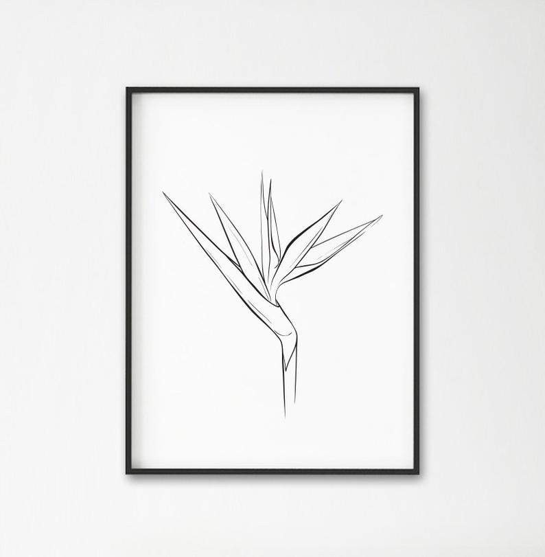 794x811 bird of paradise plant print tropical flower decor plants etsy - Modern Flower Drawing