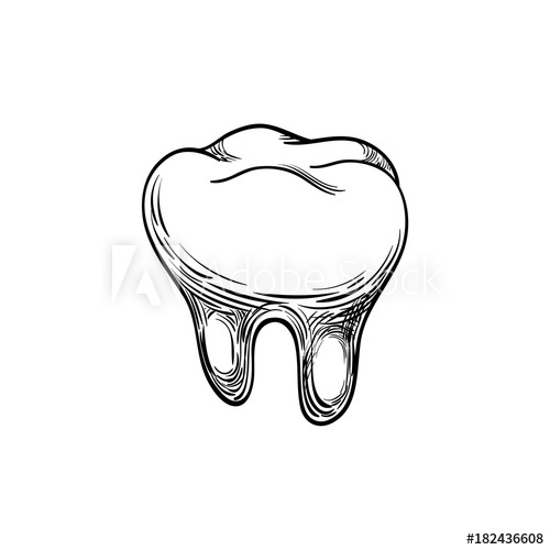 500x500 hand drawn dental clinic logo black lines sketch molar, tooth - Molar Drawing