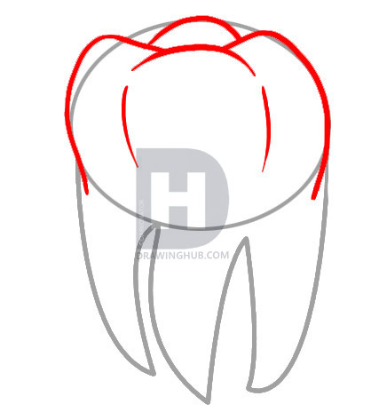 418x473 how to draw a tooth, step - Molar Drawing