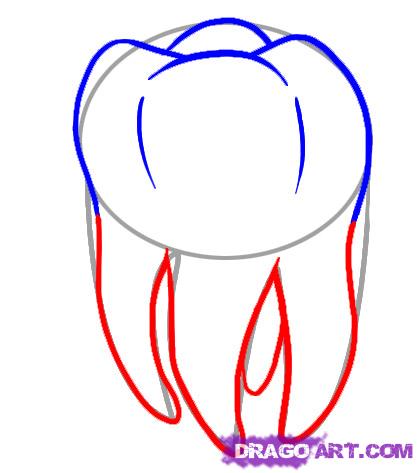Рисунок зуба карандашом для детей