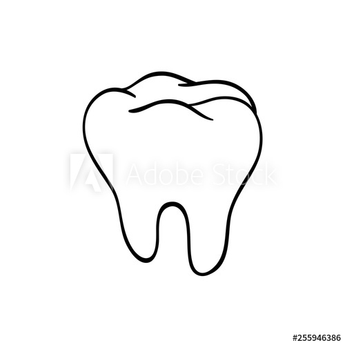 500x500 tooth logo hand drawn black lines sketch molar doodle drawing - Molar Drawing