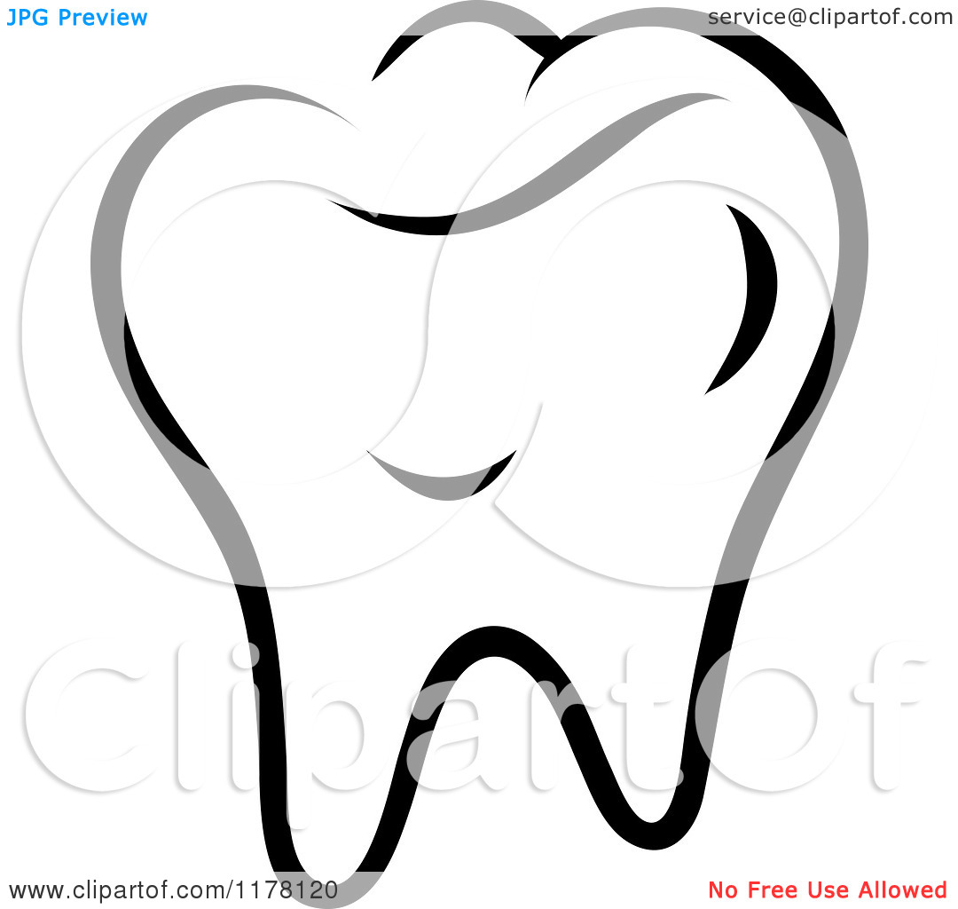 1080x1024 molar clipart - Molar Tooth Drawing