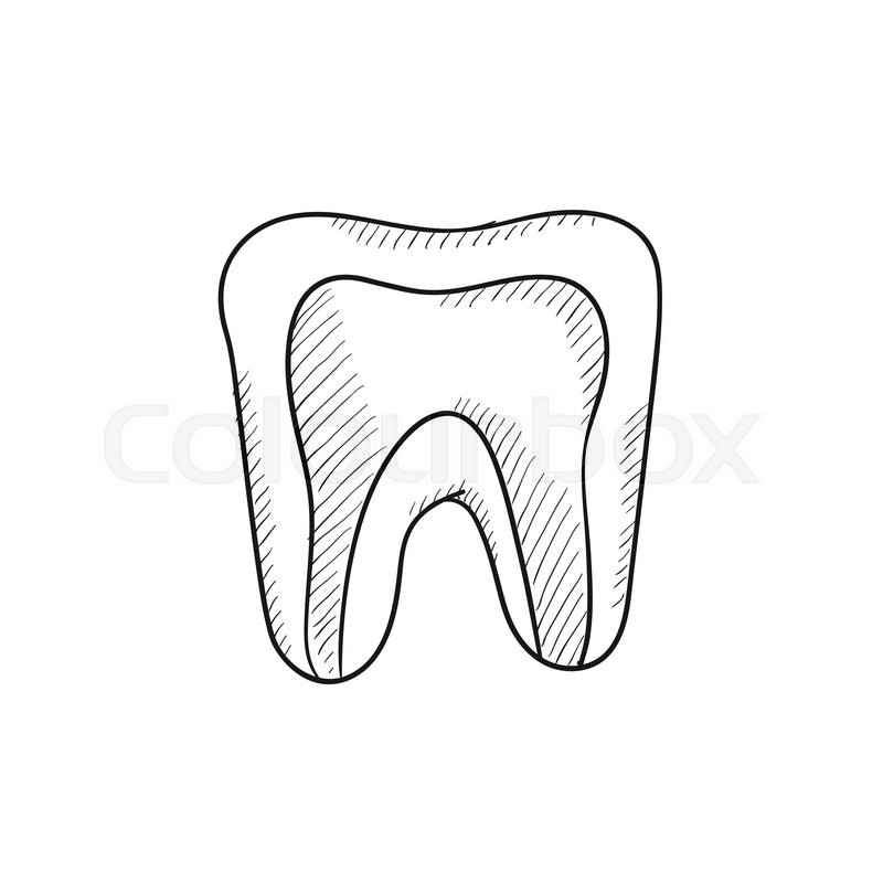 800x800 molar tooth vector sketch icon stock vector colourbox - Molar Tooth Drawing