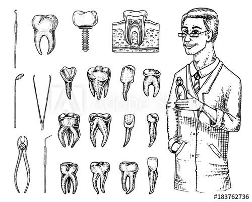 500x400 molar teeth enamel, dental set instruments equipment - Molar Tooth Drawing