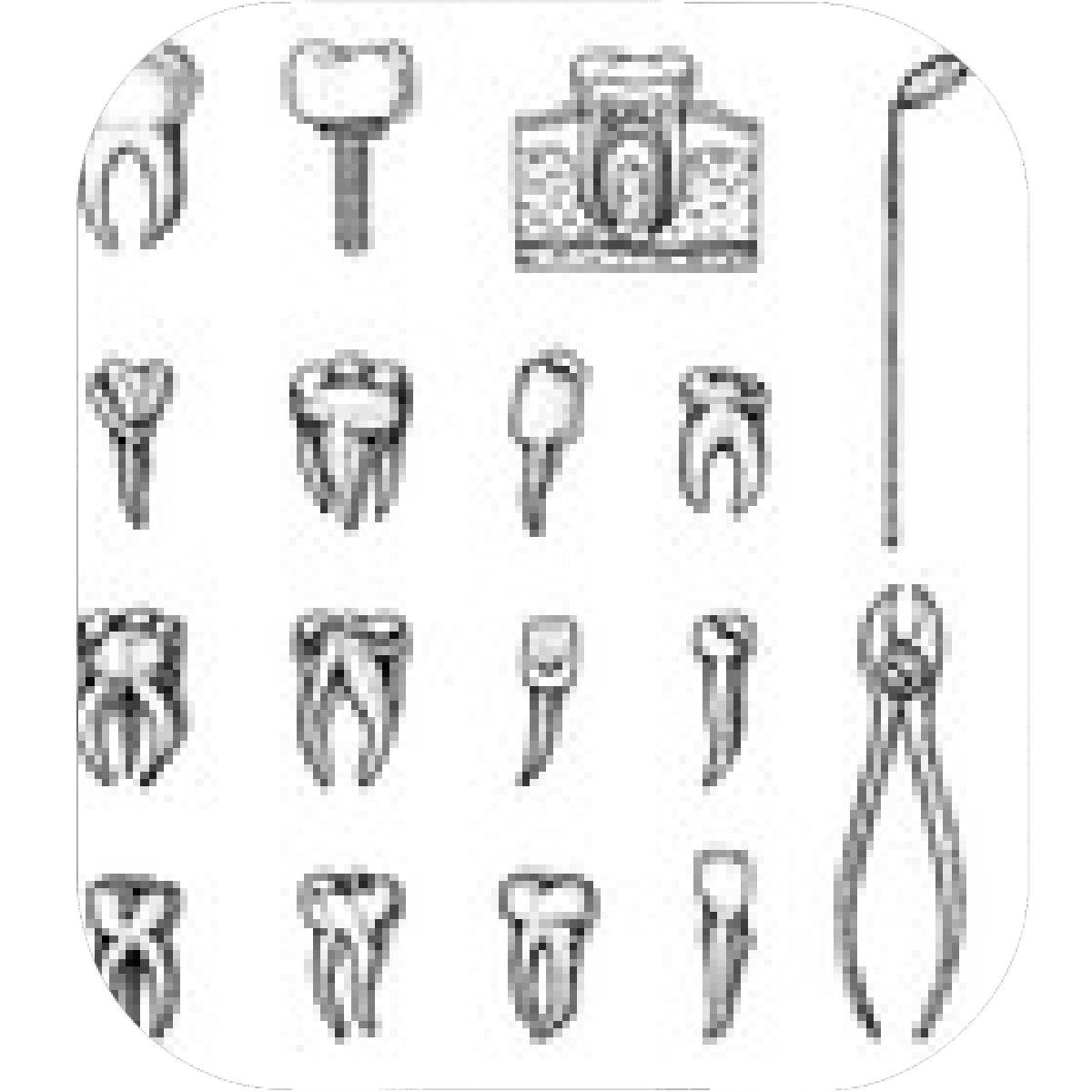 molar-tooth-drawing-at-paintingvalley-explore-collection-of-molar