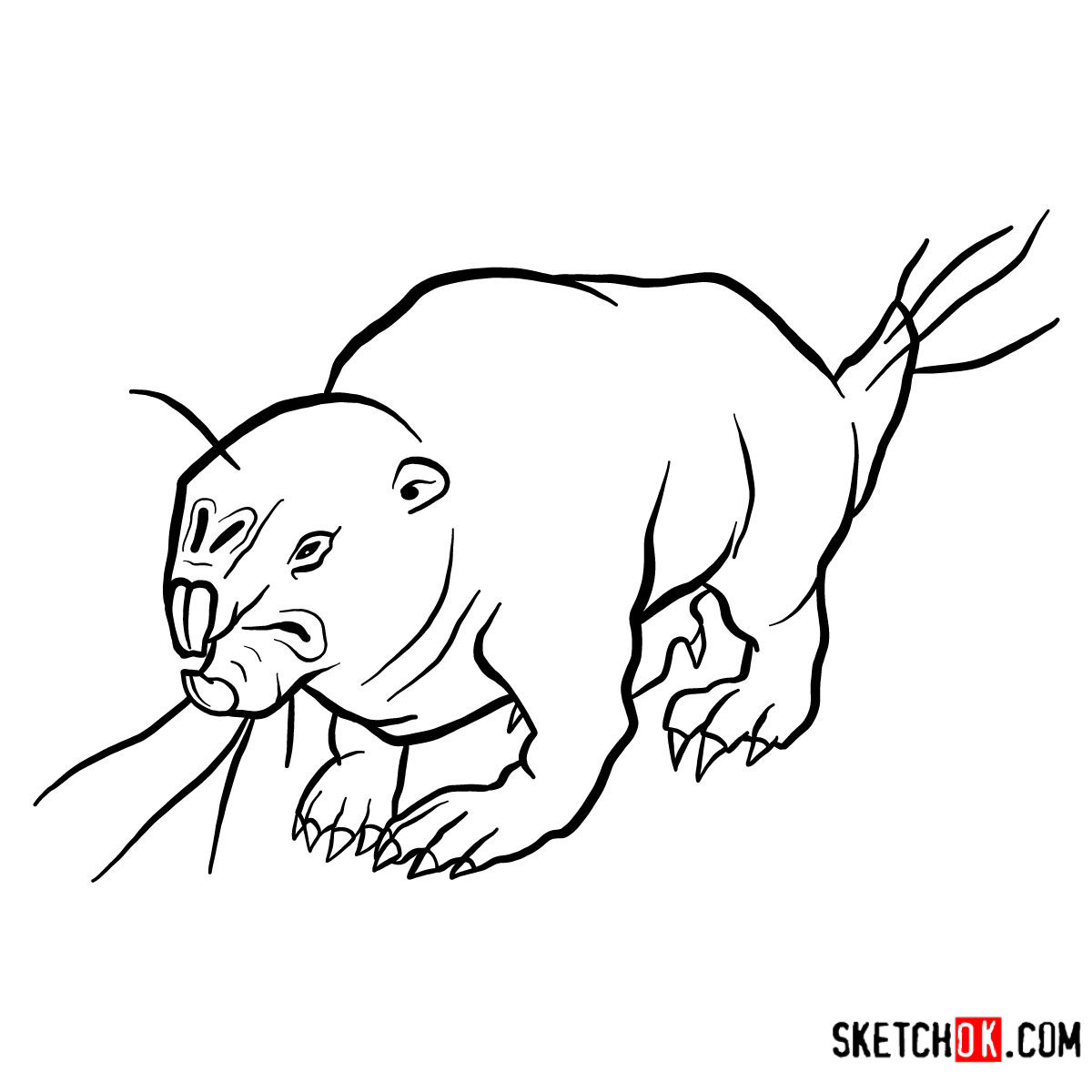 1200x1200 how to draw the mole rat fallout - Mole Drawing