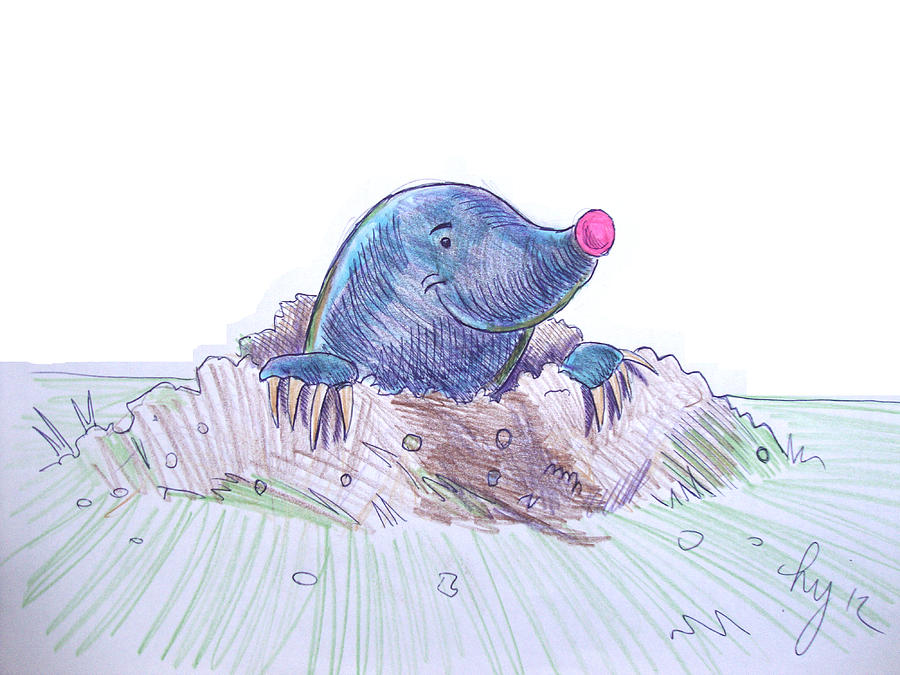900x675 Mole Cartoon Drawing - Mole Drawing