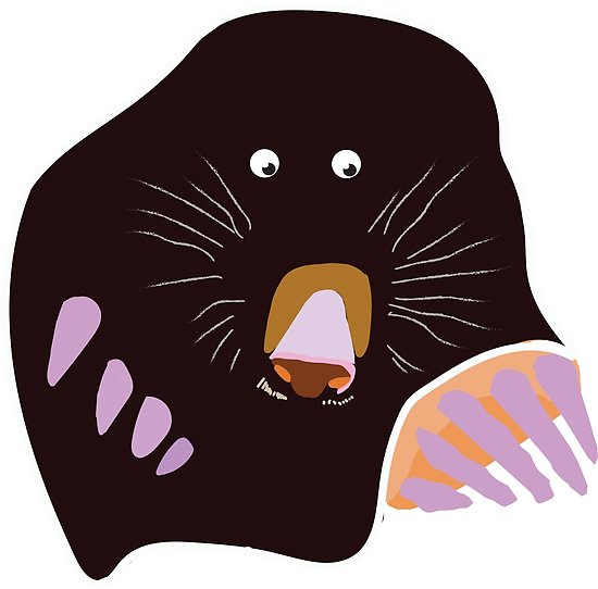 550x542 mole drawing posters - Mole Drawing