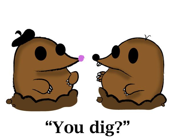 600x489 Mole Drawings - Mole Drawing