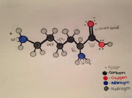 429x319 Molecule Drawing - Molecule Drawing