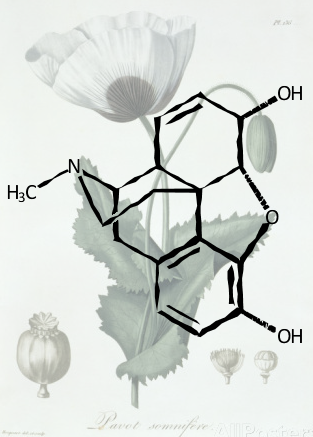 313x437 chemical drawing programs review - Molecule Drawing