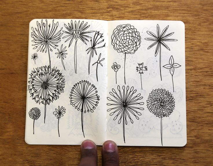 736x574 Moleskine Sketch Book Drawings - Moleskine Drawing