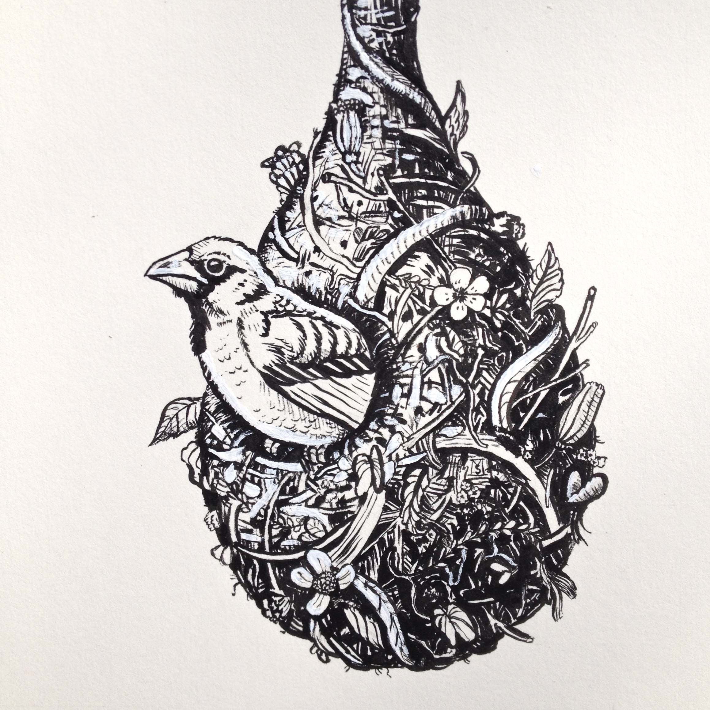 2317x2318 molly drake mike schultz studio blog - Molly Drawing