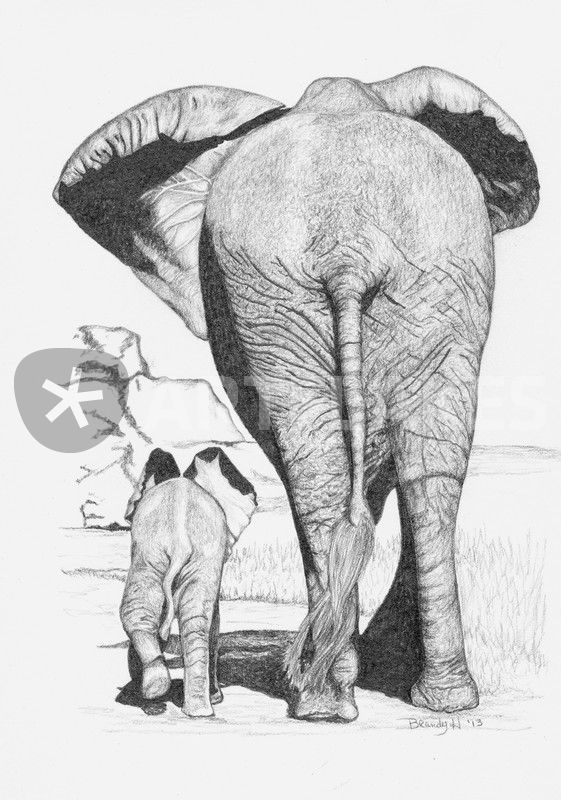 561x800 elephant mom and baby drawing art prints and posters - Mom And Baby Drawing