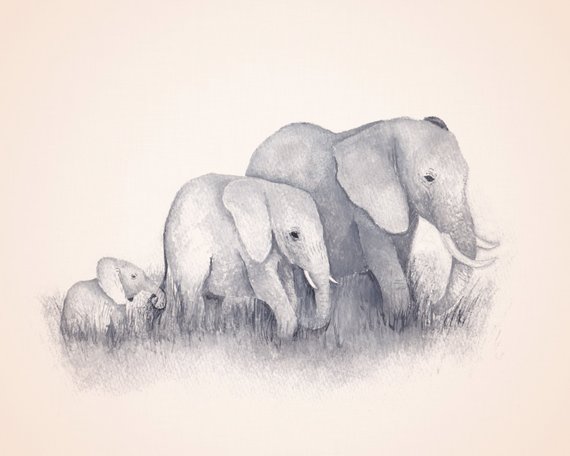 570x456 elephant nursery art - Mom And Baby Elephant Drawing