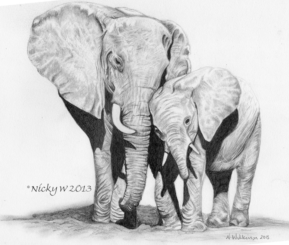 1000x846 graphite pencil drawing on strathmore paper of a mother and baby - Mom And Baby Elephant Drawing