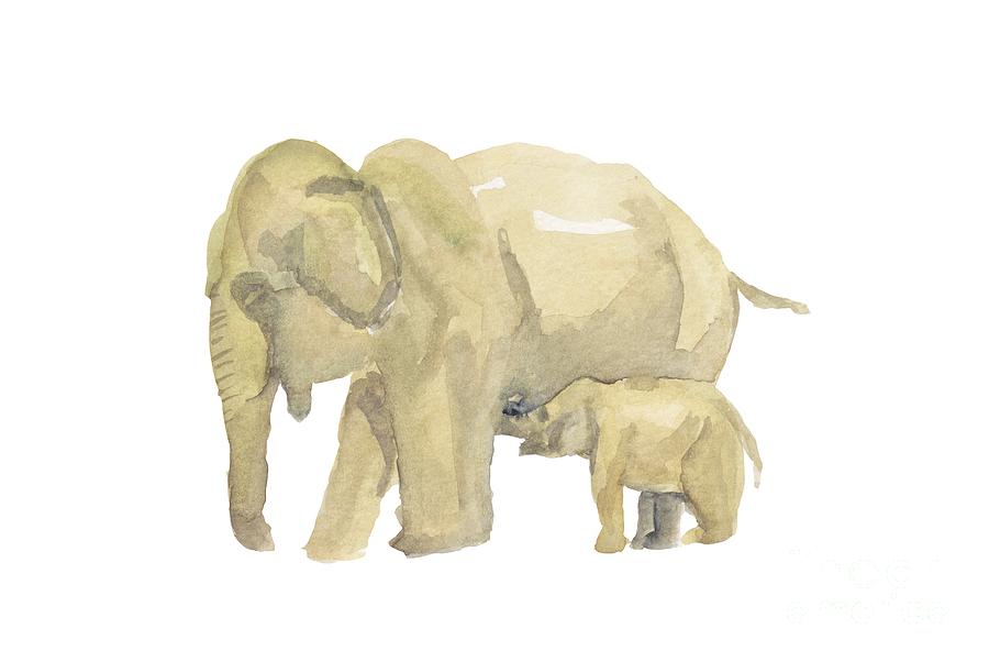 900x602 mom and baby elephant drawing - Mom And Baby Elephant Drawing