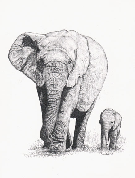 Mom And Baby Elephant Drawing at PaintingValley.com | Explore ...